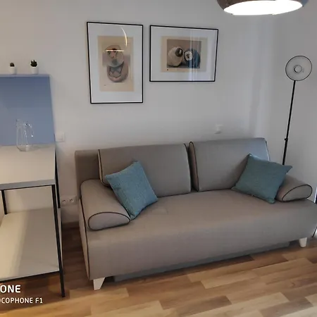 Slnecnice Bratislava